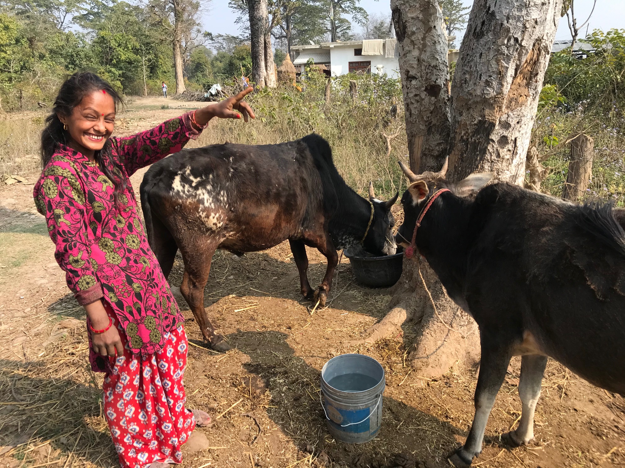 राजधानी टोलकी किसान पार्वती महरा