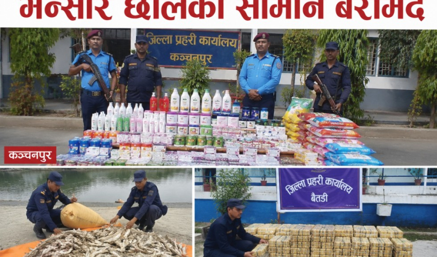 एआई प्रविधि प्रयोग गरी निर्मित तस्विर