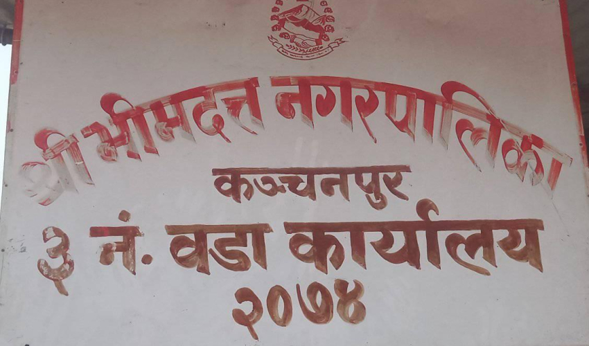 आठ दिनपछि खुल्यो भीमदत्त–३ वडा कार्यालय, स्थानीयका माग सम्बोधनपछि सेवा सुचारु