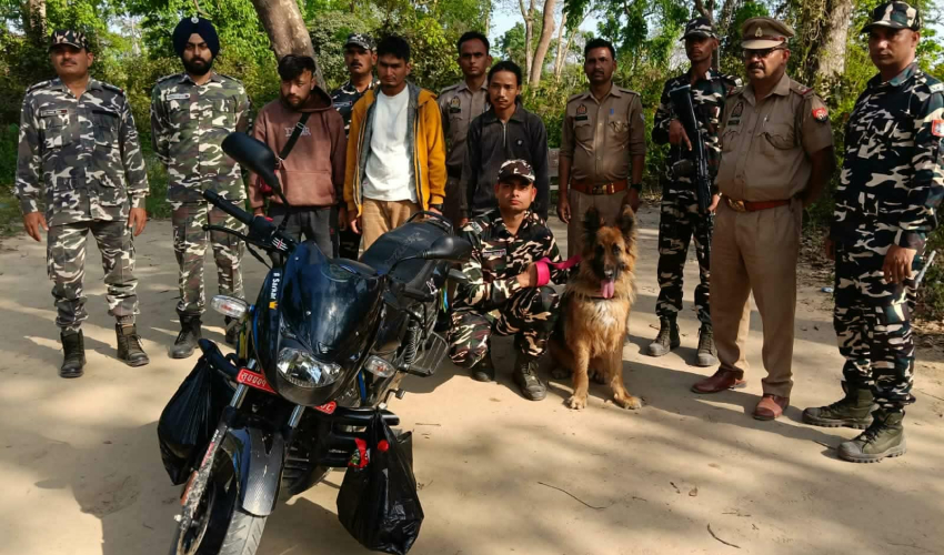 ब्राउन सुगर सहित कैलालीका तीन युवालाई एसएसबीले समात्यो 