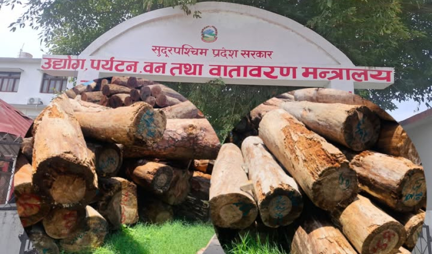 प्रदेश सरकारले कैलालीमा मात्रै काठ बिक्रीवितरणमा किन प्रतिबन्ध लगायो?