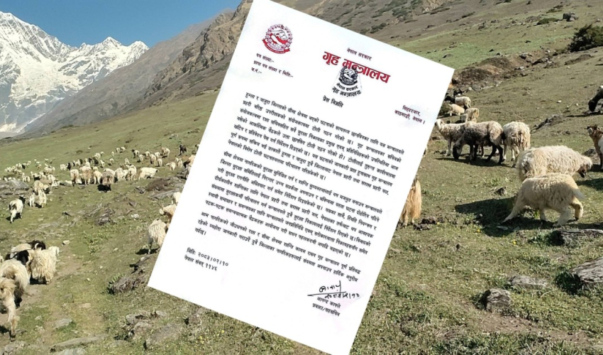हुम्ला–बाजुरा सीमा क्षेत्रमा भएको घटनाको छानबिन गर्न उच्चस्तरीय टोली गठन