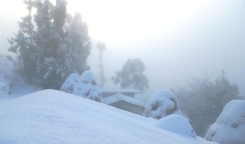 बाजुरामा वर्षासँगै हिमपात भएपछि वन्यजन्तुको चोरीसिकारीको सम्भावना बढ्यो 