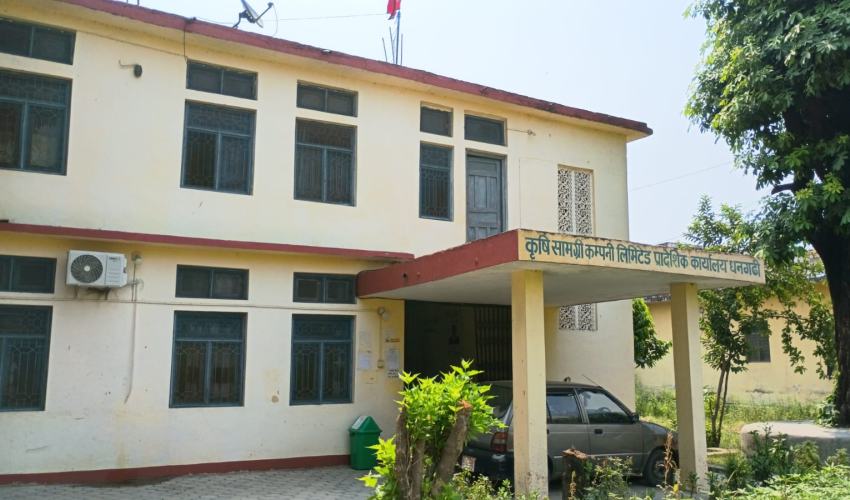 रोपाइँको सिजनमै कैलालीमा डिएपी मलको अभाव, किसानहरू समस्यामा