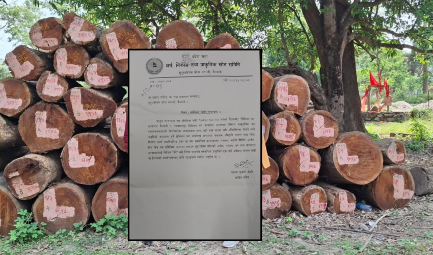 बाह्रवनमा अनुमति भन्दा ८ गुणा बढी रुख कटान, संसदीय समितिद्वारा काम  रोक्न निर्देशन