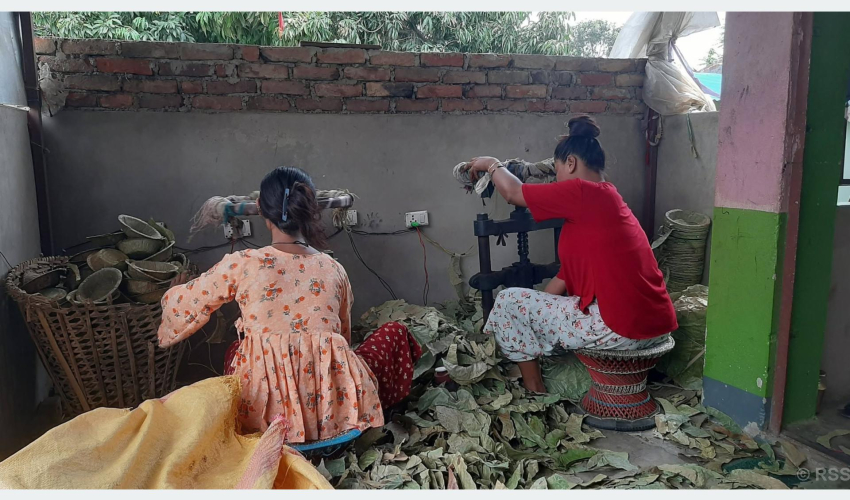 दुनाटपरी उद्योगबाट मनग्य आम्दानी गर्दै भावना