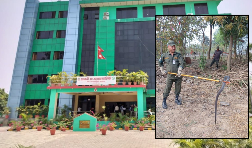 धनगढीमा २ वर्ष ७ महिनामा ३ हजार सर्प उद्धार