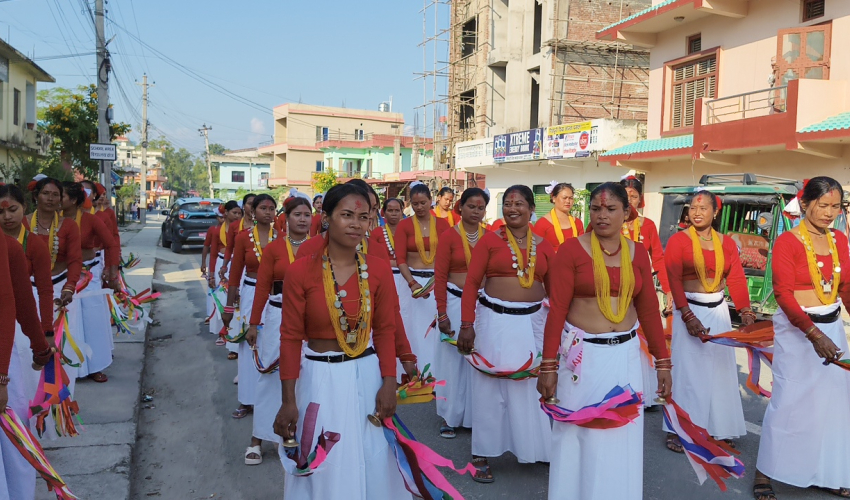 मादलको तालमा गुञ्जियो सखिया नाच, थारू संस्कृतिको पुस्तान्तरण