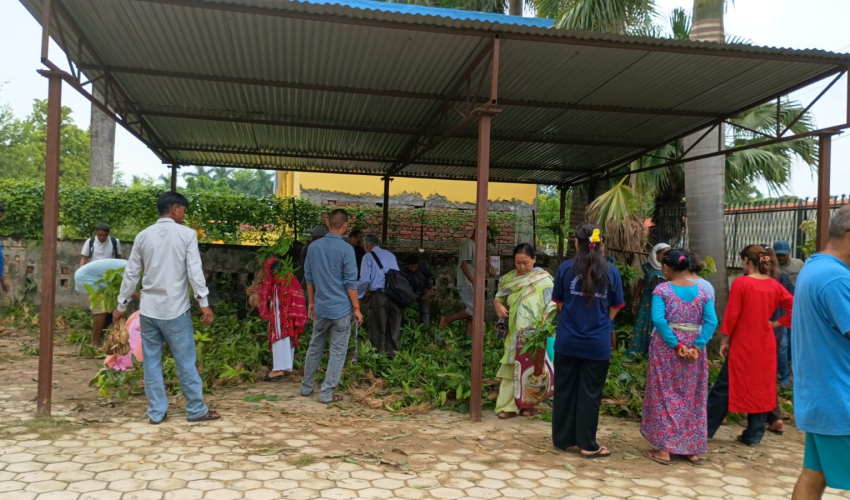 पहिलो दिनमै सकिए लिचीका बिरुवा, दोस्रो दिन पुगेका किसान निराश