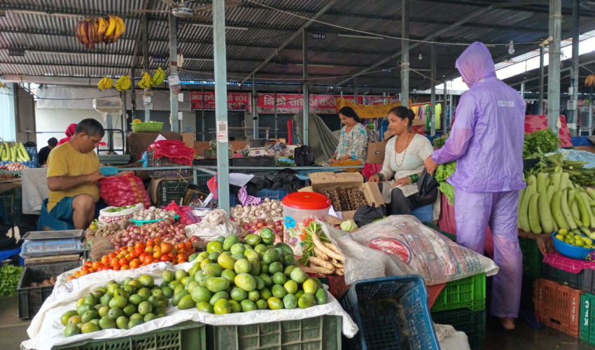 बर्खायामको वर्षाले धनगढीमा हरियो तरकारीको भाउ आकासियो, उपभोक्ताको भान्साको खर्च बढ्यो