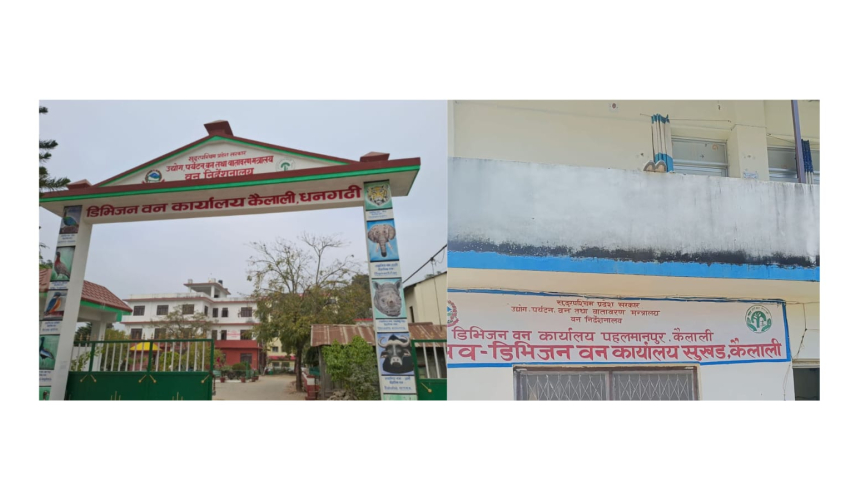 कैलालीका दुई डिभिजन वन कार्यालयमा अख्तियारको एकसाथ छापा