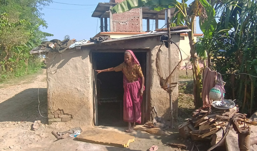 दसैंको उल्लासबीच एक्लै रानी, झुपडीमा छैन पर्वको खुसी