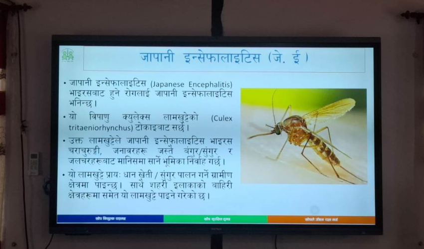 कैलालीका तीन पालिकामा जेईविरुद्ध खोप अभियान, १ लाख ८२ हजारलाई खोप लगाइने 
