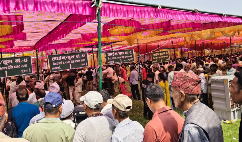 नवजीवन सहकारीको सञ्चालक समिति चयनका लागि मतदान हुँदै