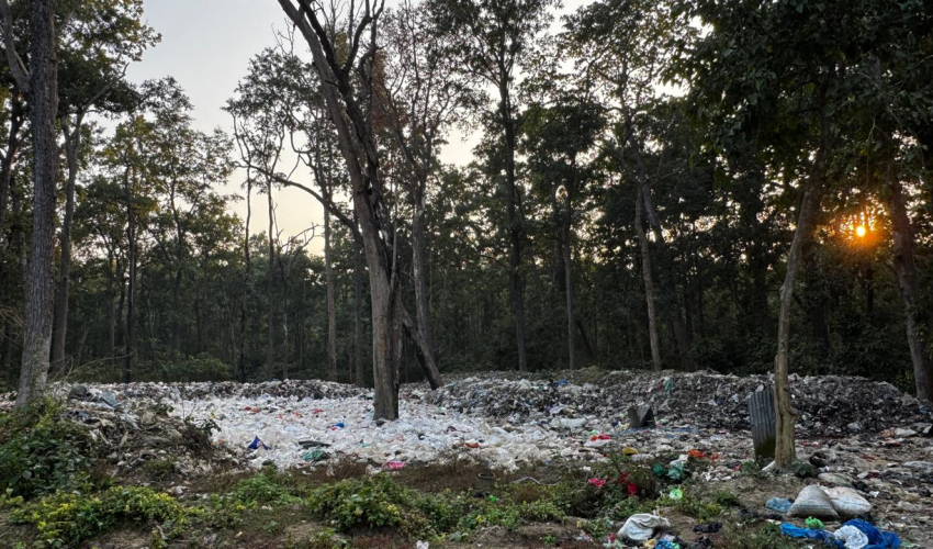 जैविक विविधतामाथि बढ्दो खतरा