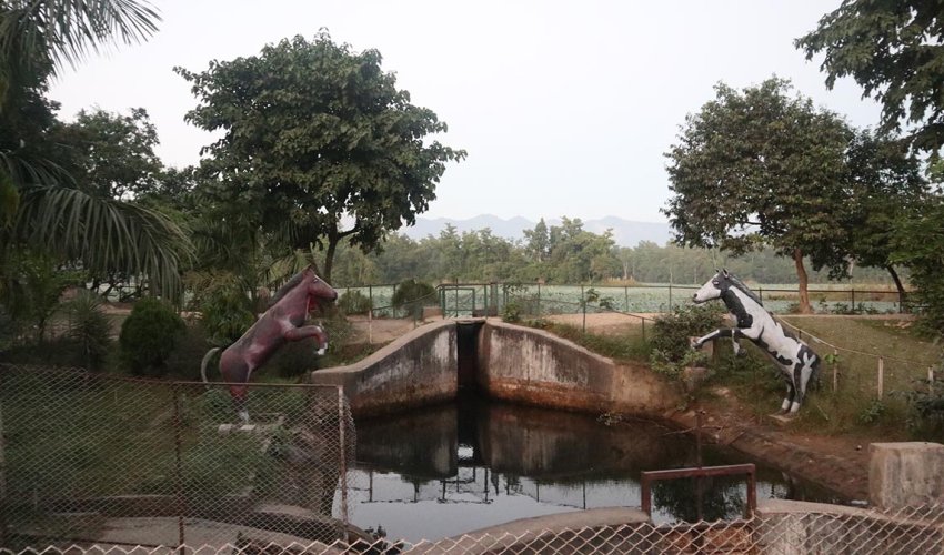बजेट अभावले संकटमा घोडाघोडीको जैविक विविधता 