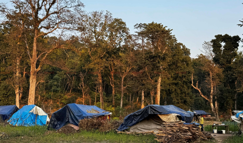 कैलालीको चुरे गाउँपालिकामा विस्थापन र अतिक्रमणबीचको दबाबमा वन संरक्षण