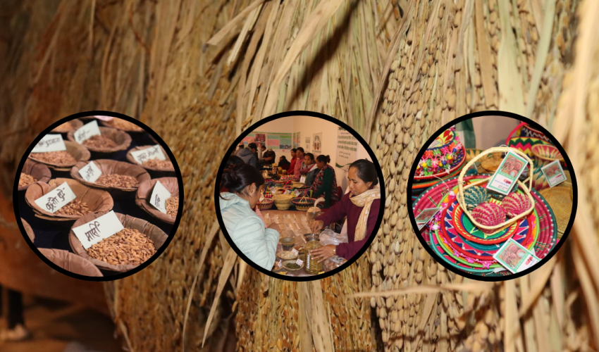 जलवायुमैत्री कृषि अभ्यासले किसानको जीविकोपार्जनमा सुधार, रैथाने बाली संरक्षणमा जोड