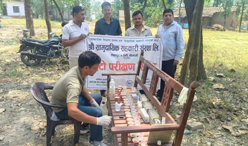 Kemana Arah DECLINING? — KRIPTO — ERYU PROJECT