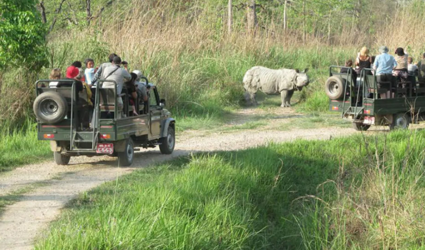 शुक्लाफाँटा राष्ट्रिय निकुञ्जमा पर्यटकको आकर्षण बढ्दो