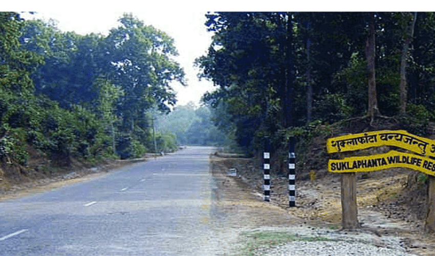 वन्यजन्तु आतङ्क नियन्त्रणमा प्रतिबद्धता जनाउने उम्मेदवार खोज्दै मध्यवर्ती क्षेत्रका बासिन्दा