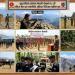 एआई प्रविधि प्रयोग गरी निर्मित तस्विर