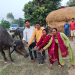 जीविकोपार्जनमा ‘भैँसीपालन कार्यक्रम’ सञ्चालन