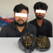 विमानस्थलबाट पार्सलमार्फत पठाइएको ३.२ किलो गाँजासहित दुई जना पक्राउ