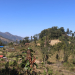 कैलालीको धुलीकोट दरबार सम्पदाको संरक्षणका लागि पुरातत्व विभाग अध्ययन गर्दै