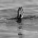कैलालीमा खोलामा डुबेर एक जनाको मृत्यु