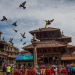 भाद्र कृष्ण नवमीः श्रीकृष्ण रथयात्रा एवं शोभा यात्रा गरिँदै 