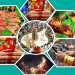आज साउने सङ्क्रान्ति पर्व