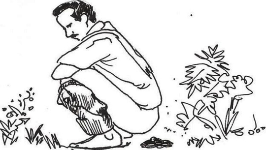 सरकारले तोकेको समयसीमा भीत्र कैलाली खुला दिशामुक्त भएन 