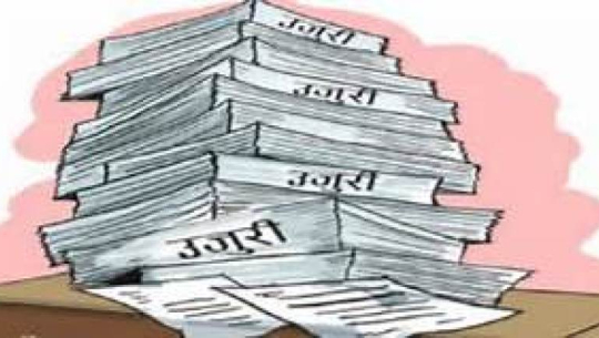 प्राविधिक शिक्षाको नाममा ठगी विरुद्ध उजुरी