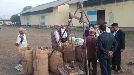 कैलालीमा  एक हप्तामा साढे चार हजार क्विन्टल धान खरिद