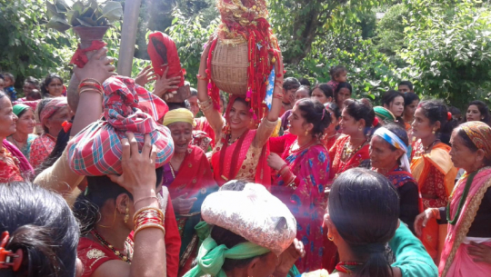 Third day of Gaura festival: Bratalu women bring Gaura devi into homes