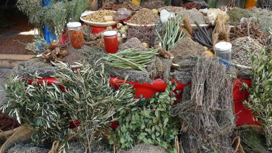 जडीबुटी प्रशोधन केन्द्र निर्माणको अन्तिम चरणमा