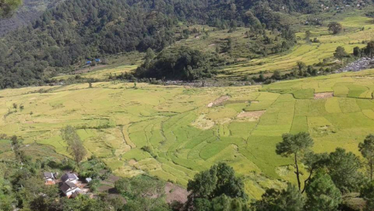 डोटीको जोरायल गाउँपालिकाका सबै वडा सडक सञ्जालमा