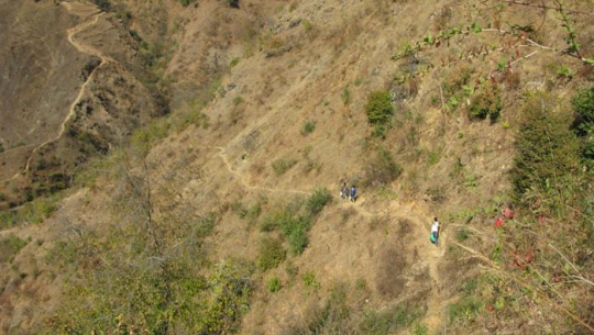 फाईल फोटो 