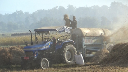 धानको मूल्य किसानहरुका लागि हर्ष न विस्मात