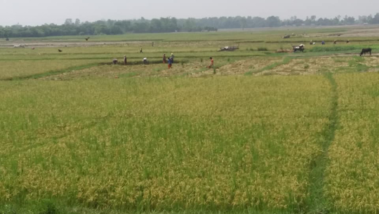 फाइल फोटो