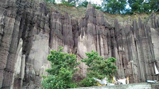 प्रकृतिको वरदान  लिङ्गा