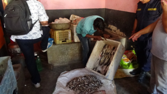 फाईल फोटो 