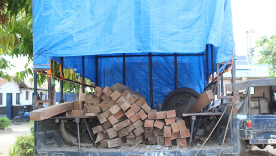 वन कर्मचारीसंगको साठगाठका कारण कैलालीमा तस्करको सञ्जाल विस्तार हुँदै