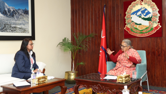 पुराना दलले पनि आत्तिनु पर्दैन, नयाँले मात्तिनु पर्दैनः प्रधानमन्त्री कार्की