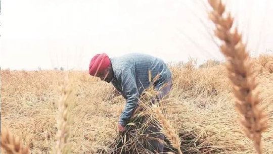 फाईल फोटो 