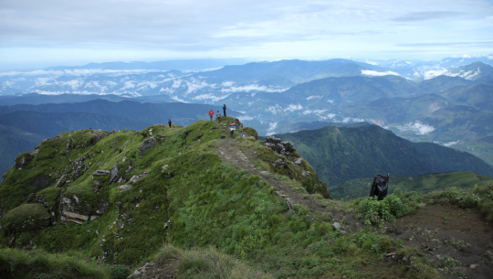 फाइल फोटो