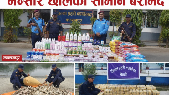 एआई प्रविधि प्रयोग गरी निर्मित तस्विर