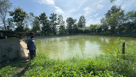 माछापालन व्यवसायबाट वार्षिक १५ लाख बचत