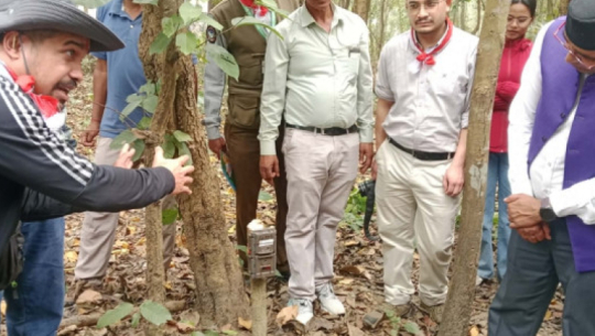 Tiger census camera and memory card stolen in Shuklaphanta-Laljhadi area